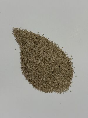 BP100 Granule Protease-enzym voor verbeterde eiwitverteerbaarheid