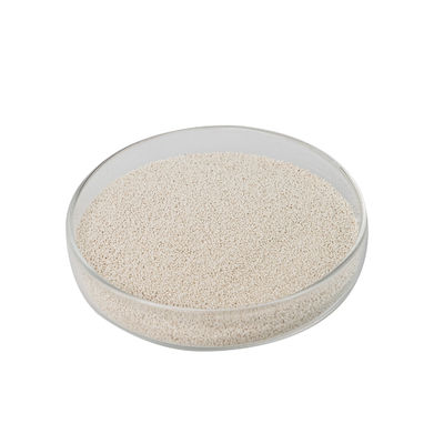 Combinatorische Beta Xylanase Animal Feed Additives met FSSC22000