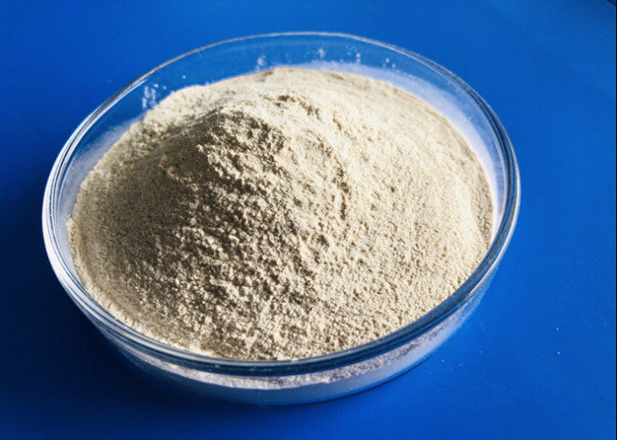 Cas 9025 57 4 Protease Spijsverteringsenzym 80 Mesh Protease In Food Industry