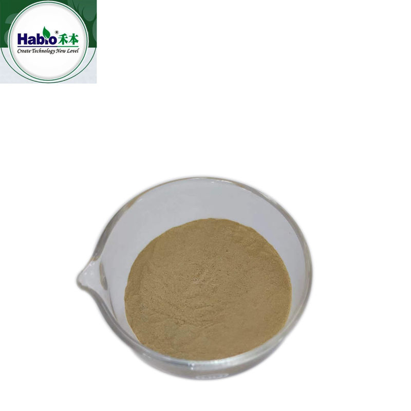 Hoge stabiliteit 100000U Alkaline Protease Enzyme Powder Geel Bruin Voor het brouwen van alcohol