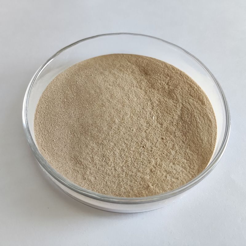 Habio-protease Bp100 peptide-splitsend enzym voor diervoeders met een hoge stabiliteit