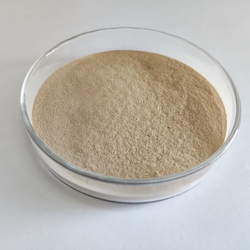 BP 100 Protease Enzym met Hoge Thermostabiliteit Verbetert Eiwitbenutting in Dierlijke Voeding