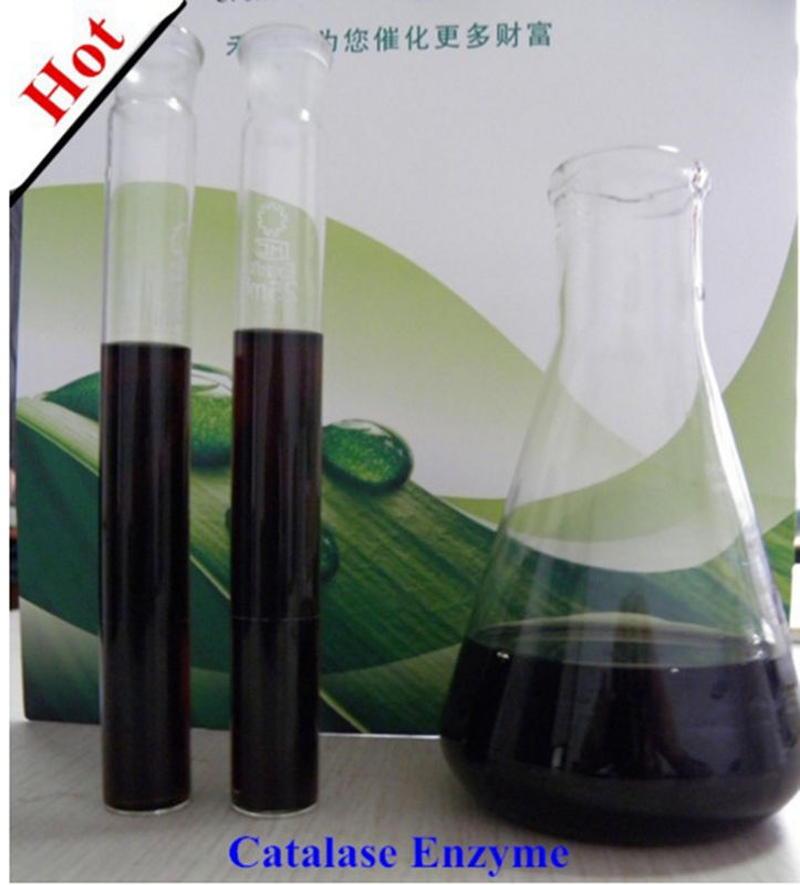 Fabriekslevering Warm verkoop Habio-catalase-enzym 600.000u/g Reductiewaterstofperoxide