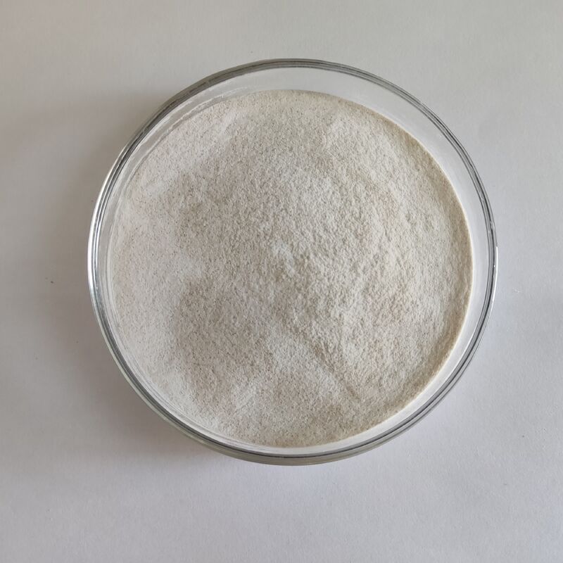 Habio Alpha Galactosidase 10.000 U/G Poedervoederadditieven voor de verwerking van sojabonen en de veehouderij