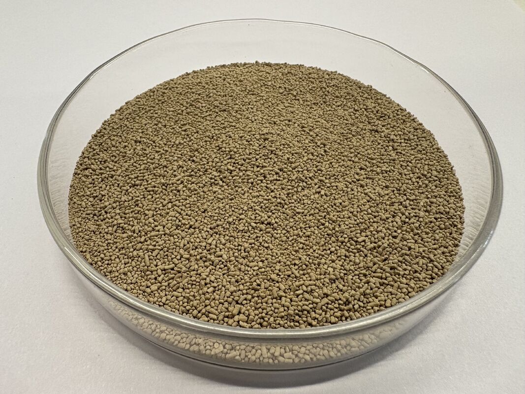Protease-enzym voor diervoeding en eiwitvertering. Protease-BP100-granula.