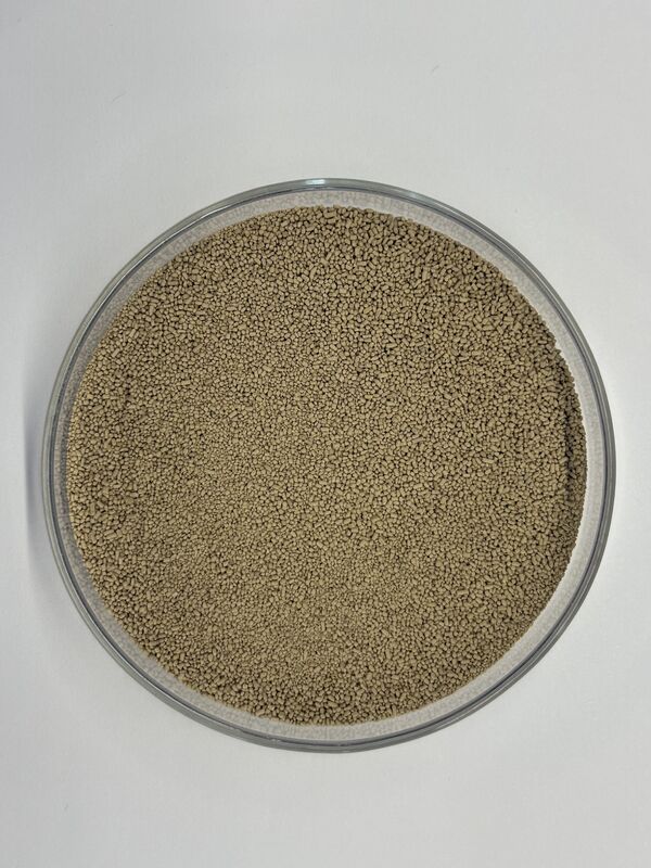 BP100 Granule Protease-enzym voor verbeterde eiwitverteerbaarheid